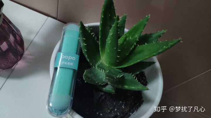 随时随地,想来就来一口的瓦拉丁即抛型雾化棒和电子雾化烟套装横向评测(图5)