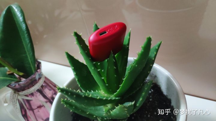 随时随地,想来就来一口的瓦拉丁即抛型雾化棒和电子雾化烟套装横向评测(图11)